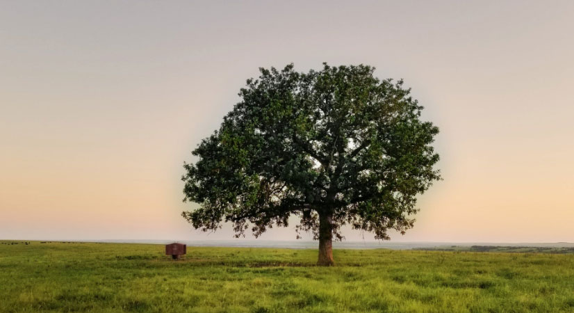 肩負(fù)重?fù)?dān) 推動(dòng)我國(guó)經(jīng)濟(jì)、社會(huì)<br>環(huán)境全面協(xié)調(diào)可持續(xù)發(fā)展