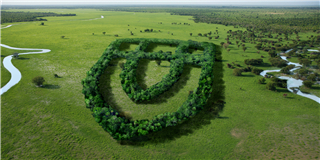 健康是“檢驗”出來的！2022年度世友地板市場抽檢報告公布